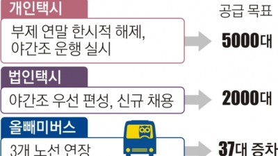 서울시, 심야 승차난 종합대책 발표