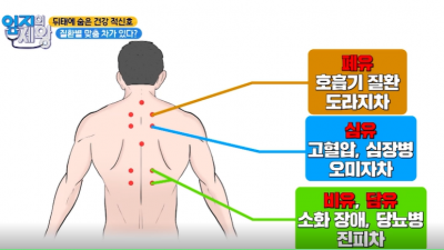 하루 10회! 등 통증 완화에 도움주는 마사지