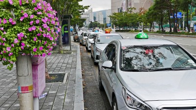 세종시, 개인택시 44대 신규면허 발급 대상자 모집