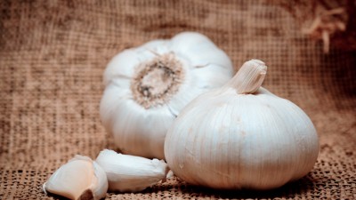 기침 심해지는 환절기…'이것'이 기관지 지킨다