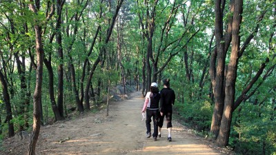 정신질환 신규진단 위험 낮아지는 ‘꾸준한 등산·숲길 걷기’, 시작 전에 이것부터 체크하세요!