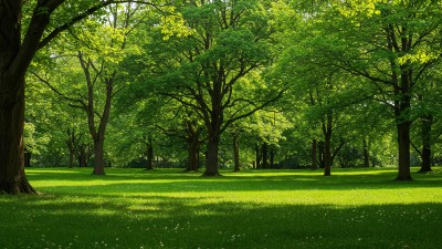 본격 농번기·나들이철 ‘진드기 주의보’… “물리지 않는 것이 최선의 예방”